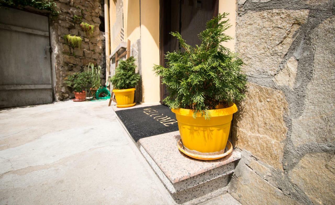 The Rocky House - Central & Private 2Bdr By Flat Mаnager Plovdiv Exteriör bild